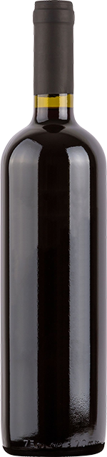 Somm: Into the Bottle