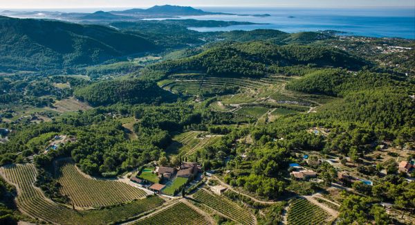 Château de Pibarnon