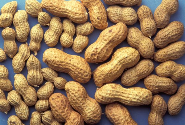 Peanut