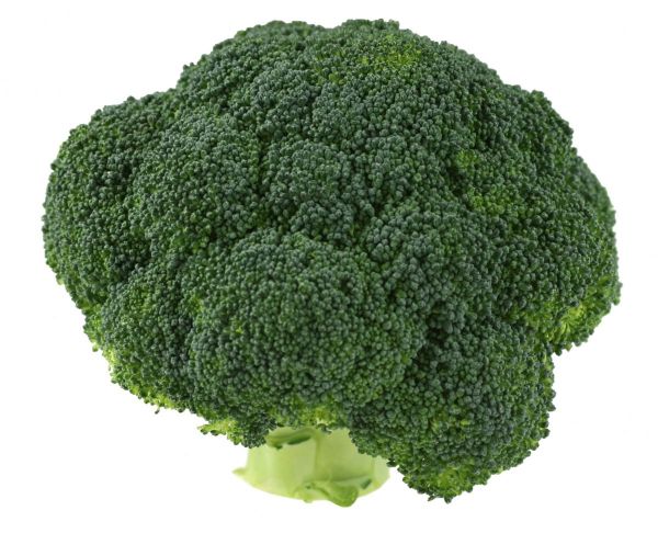 Broccoli