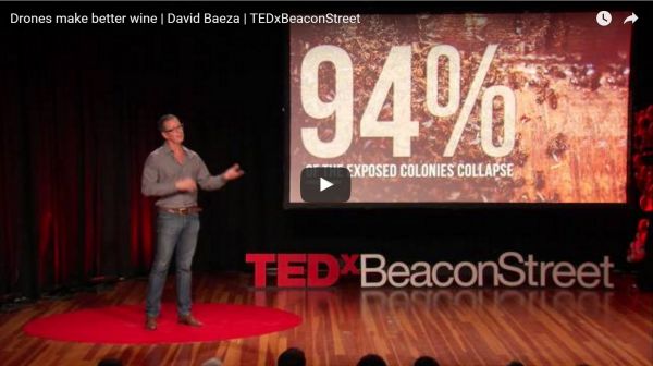 Drones make better wine