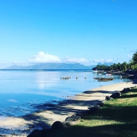 Kenwood KM096 Kitchenmachine Cooking Chef