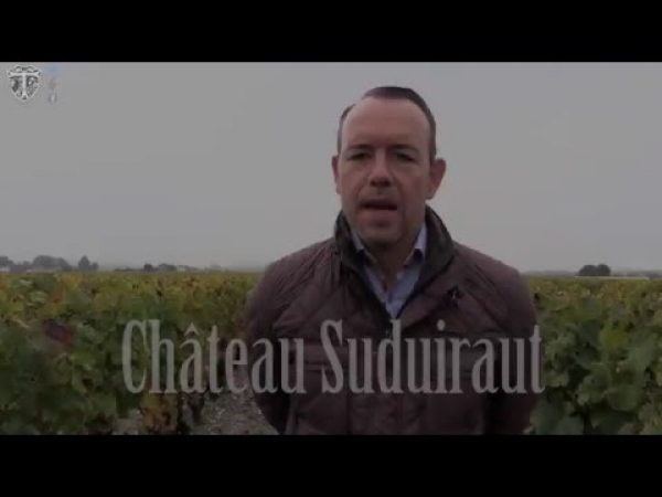 Additional information on traube