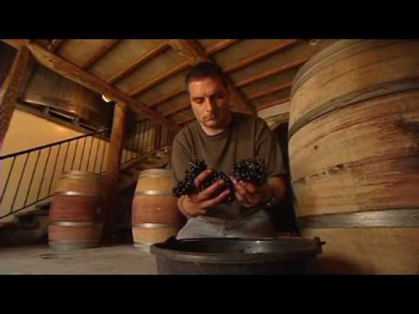 LCBO Discover, Wines of the Rhone Valley, Part 3 of 3.mov