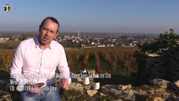 2013 Domaine Matrot Meursault Ro