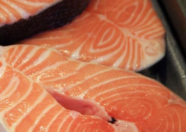 Salmon